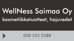 WellNess Saimaa Oy logo